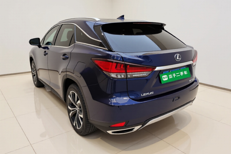 雷克萨斯RX 2020款 改款 300 四驱典雅版车身外观5