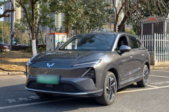 五菱汽车 五菱星光S 2024款 510km 旗舰型