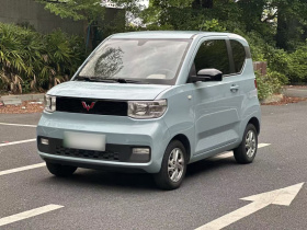 五菱汽车 宏光MINIEV 2020款 自在款 磷酸铁锂