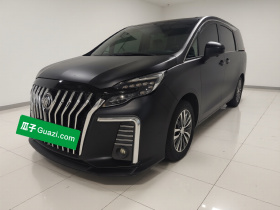 别克GL8 2020款 ES陆尊 653T 舒适型