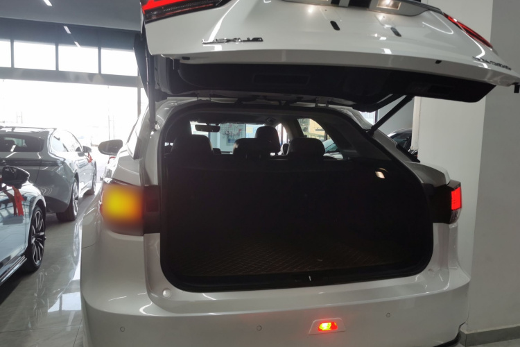 雷克萨斯RX 2020款 改款 300 两驱精英版机舱底盘23