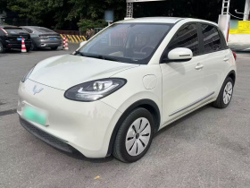 五菱汽车 五菱缤果 2023款 333km 快享款