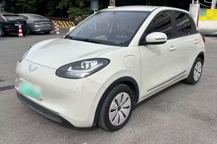 五菱汽车 五菱缤果 2023款 333km 快享款车身外观1