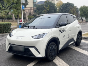 比亚迪 海鸥 2024款 荣耀版 305km 活力版