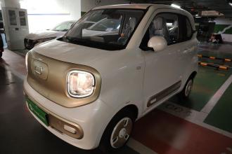 奔腾小马 2025款 222km 闪电马