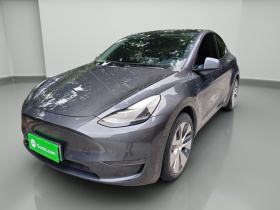 特斯拉 Model Y 2021款 长续航全轮驱动版