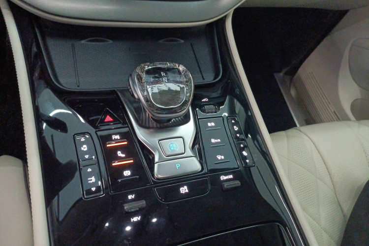 腾势D9 2024款 DM-i 980 四驱尊荣型局部细节18