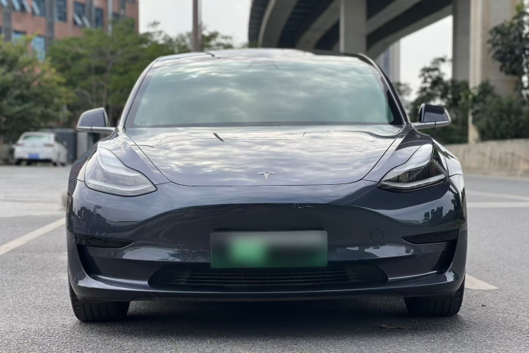特斯拉 Model 3 2020款 标准续航后驱升级版车身外观6003