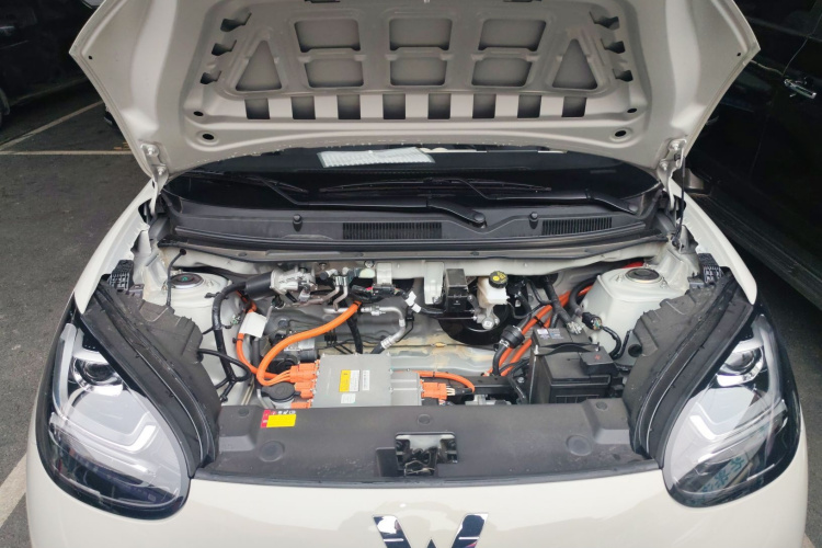 五菱汽车 五菱缤果 2024款 203km 轻享款机舱底盘24