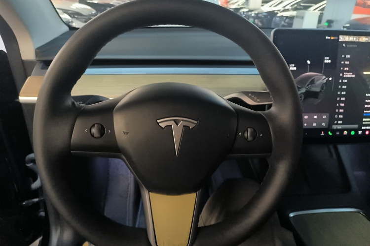 特斯拉 Model Y 2022款 后轮驱动版局部细节13