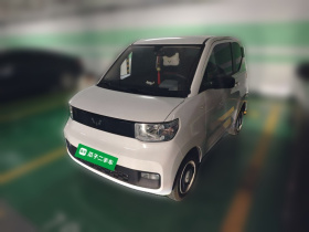 五菱汽车 宏光MINIEV 2022款 自在款 磷酸铁锂