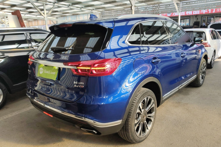 红旗HS5 2019款 2.0T 智联旗领四驱版车身外观6005