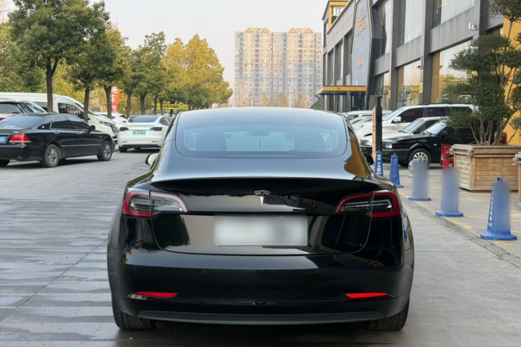 特斯拉 Model 3(进口) 2019款 长续航后驱版车身外观6010