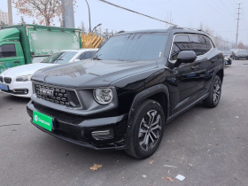 哈弗大狗 PLUS 2023款 1.5T 两驱潮野版Plus