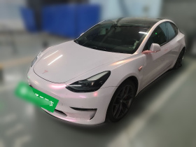 特斯拉 Model 3 2021款 改款二 Performance高性能全轮驱动版