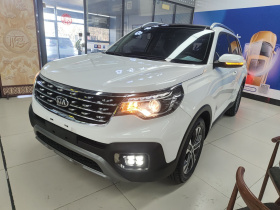 起亚 智跑 2019款 2.0L 自动智享豪华版