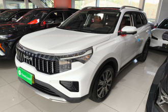 起亚 智跑 2021款 Ace 2.0L 精彩版