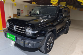 坦克300 2021款 城市版 2.0T 我看型