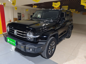 坦克300 2021款 城市版 2.0T 我看型