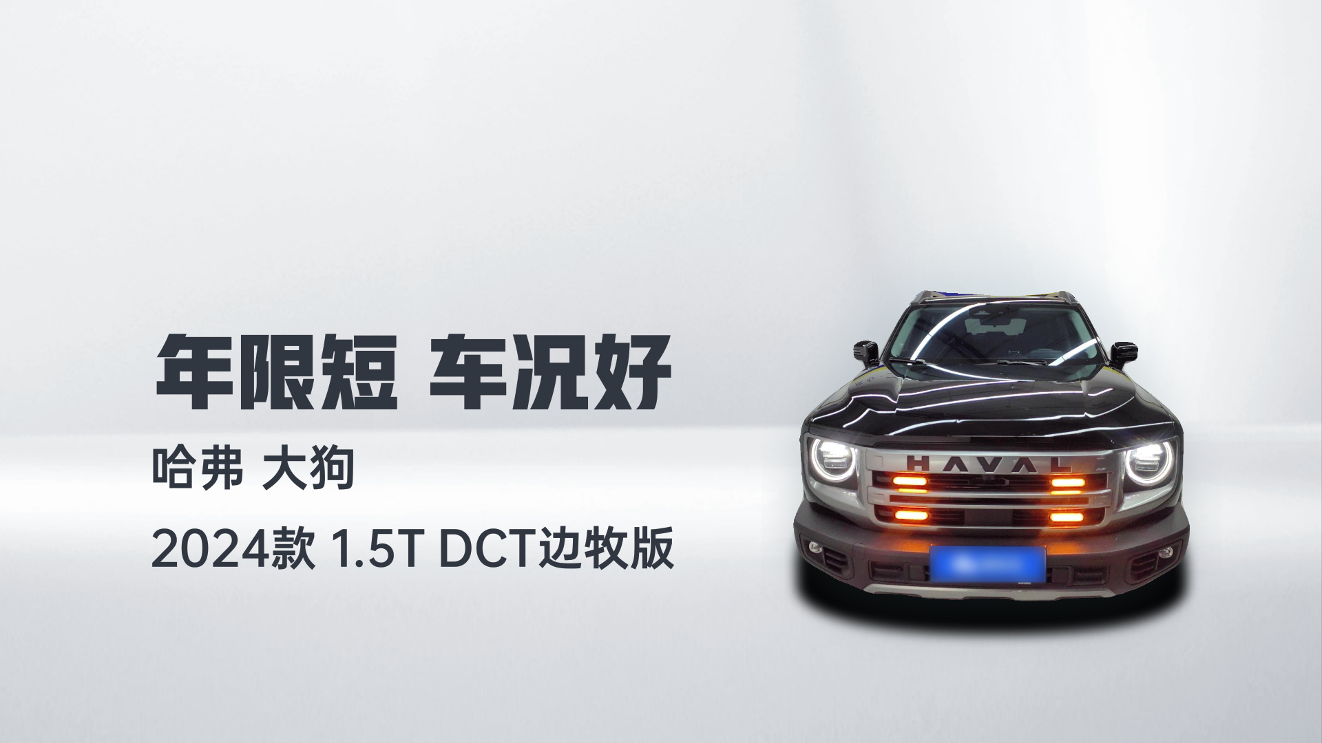 哈弗大狗 2024款 1.5T DCT边牧版解读1