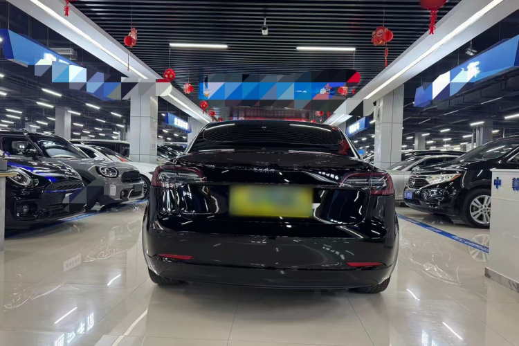 特斯拉 Model 3 2019款 标准续航后驱升级版车身外观6003