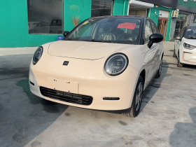 江淮钇为 钇为3 2025款 330km 自由版