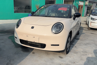 江淮钇为 钇为3 2025款 330km 自由版