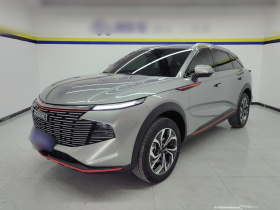 哈弗神兽 2023款 1.5T 智享版