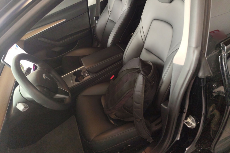 特斯拉 Model 3 2022款 后轮驱动版中控内饰19