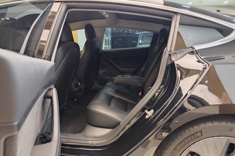 特斯拉 Model 3 2020款 标准续航后驱升级版车身外观6009