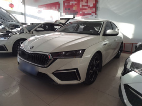 斯柯达 明锐 2021款 PRO TSI280 DSG豪华版