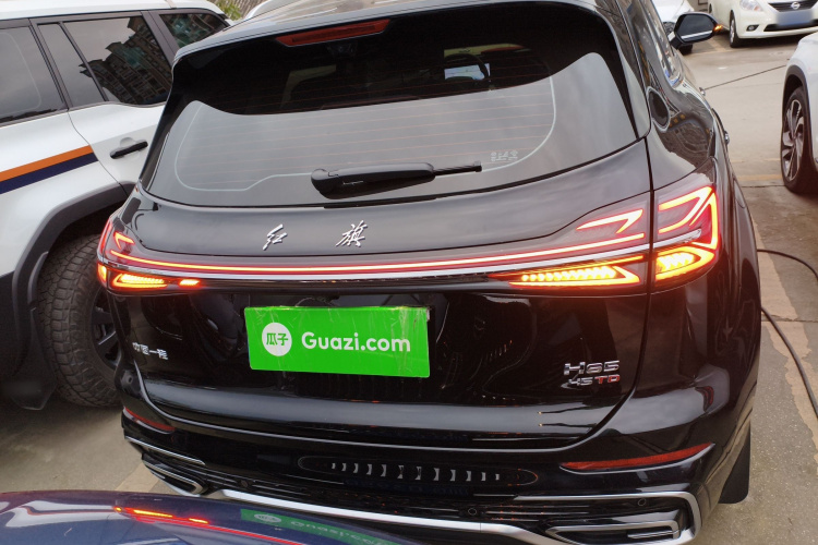 红旗HS5 2025款 2.0T 两驱旗享Pro版车身外观6