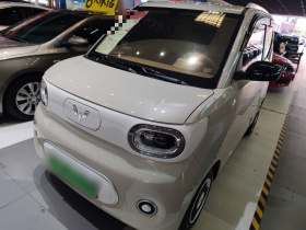 五菱汽车 宏光MINIEV 2024款 第三代 215km 青春版