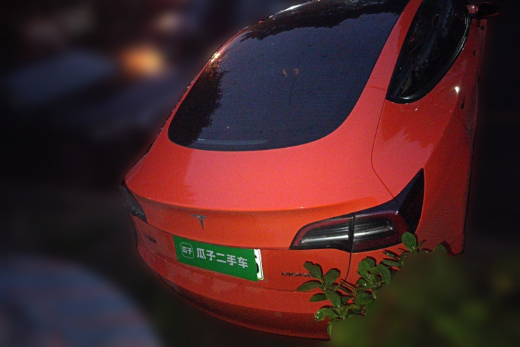 特斯拉 Model 3 2021款 标准续航后驱升级版车身外观6004
