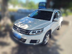 大众 途观 2013款 1.8TSI 自动两驱舒适版