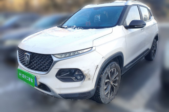 宝骏510 2019款 1.5L 自动尊享型 国V