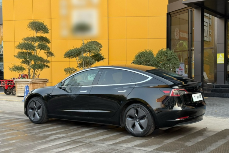 特斯拉 Model 3(进口) 2019款 长续航后驱版车身外观6007