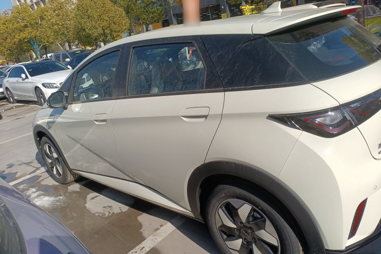 比亚迪 海豚 2025款 420km 自由版车身外观4