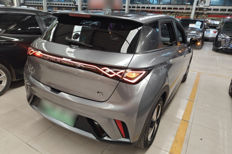 比亚迪 海豚 2023款 420km 时尚版车身外观7