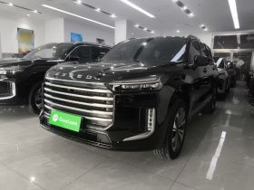 星途揽月 2024款 国际版 400T 四驱星睿 7座