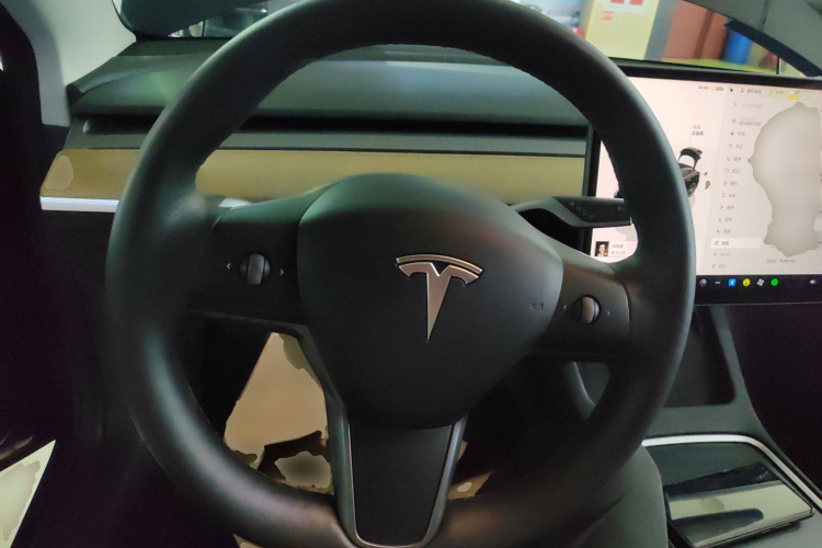 特斯拉 Model 3 2022款 Performance高性能全轮驱动版中控内饰13