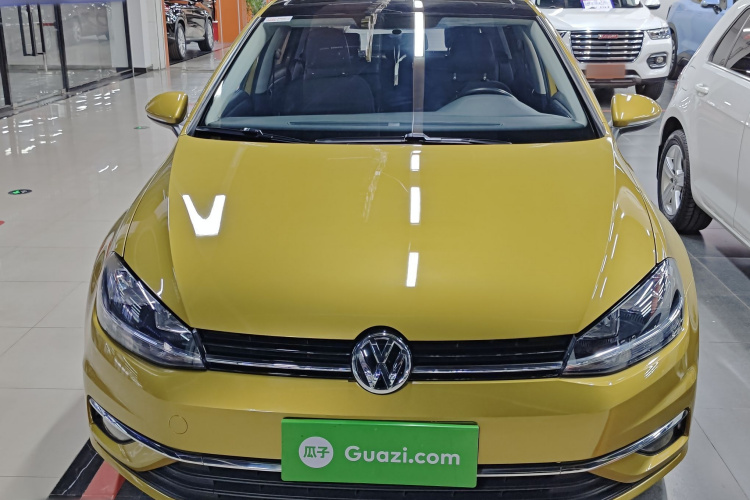 大众 高尔夫 2018款 1.6L 自动舒适型车身外观6001