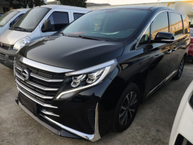 广汽传祺 传祺M8 2024款 领秀系列 390T 尊享版