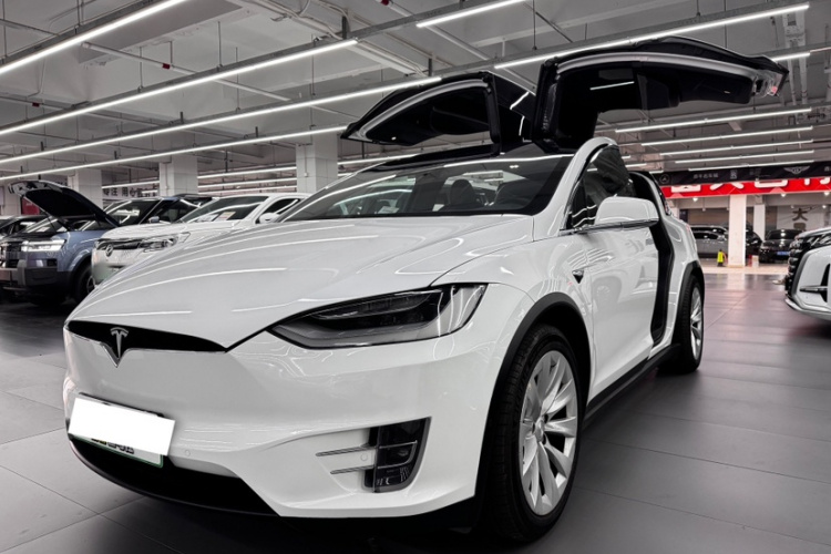 特斯拉 Model X 2019款 长续航版车身外观6011