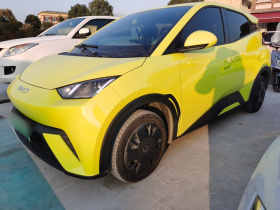 比亚迪 海鸥 2024款 荣耀版 305km 活力版