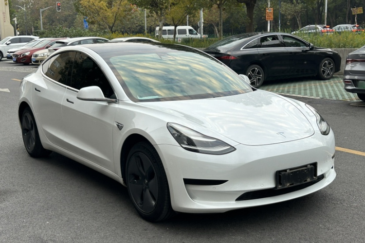特斯拉 Model 3(进口) 2019款 标准续航后驱升级版(60度)车身外观6009