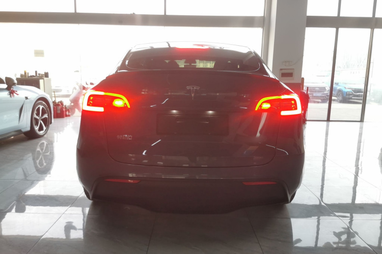 特斯拉 Model Y 2021款 长续航全轮驱动版车身外观6