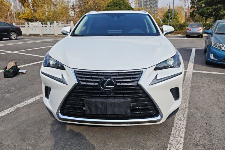 雷克萨斯NX 2020款 200 全驱 锋尚版 国VI车身外观2