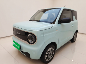 吉利银河 2023款 熊猫mini 200km 耐力熊