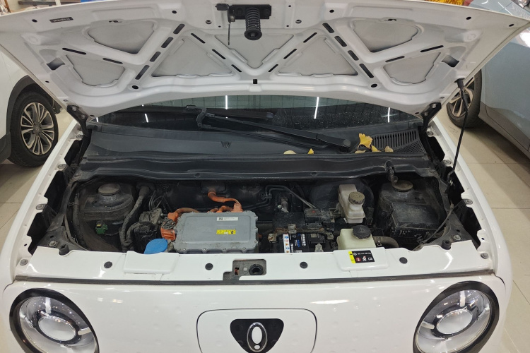 欧拉黑猫 2021款 301km 萌宠版局部细节24